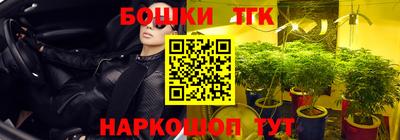 мдпв Тулун