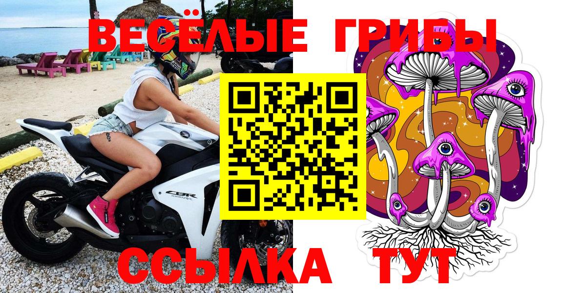 Псилоцибиновые грибы прущие грибы  Вход с VPN  Галлюциногенные грибы мицелий  Волжск 